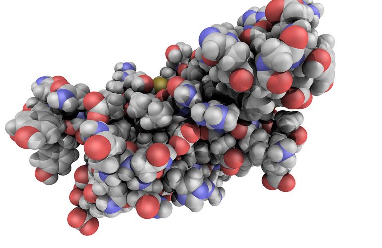 What is Creutzfeldt-Jakob Disease?