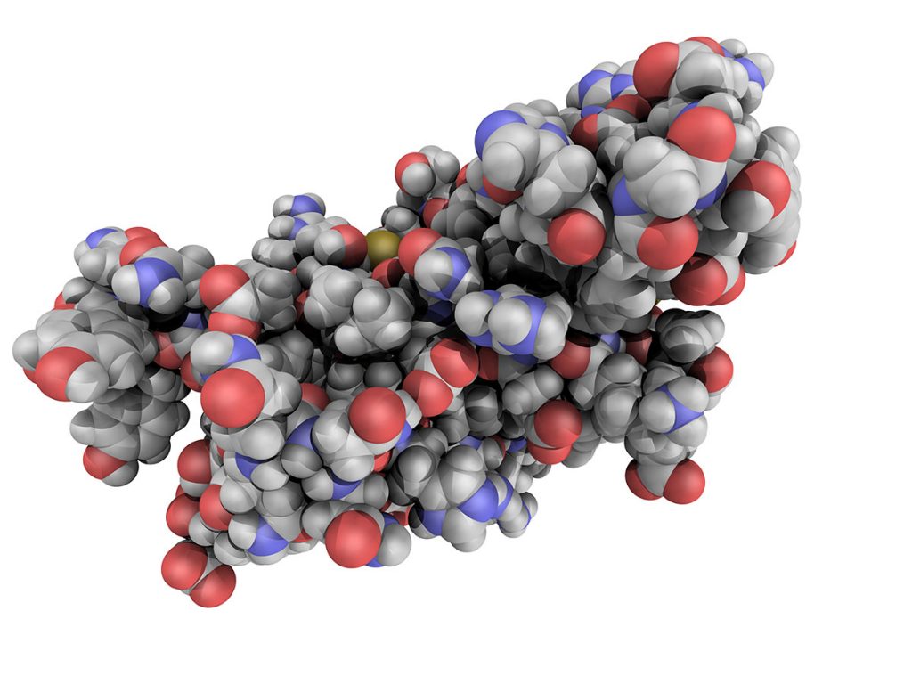 What is Creutzfeldt-Jakob Disease? - Dr. Jim Collins