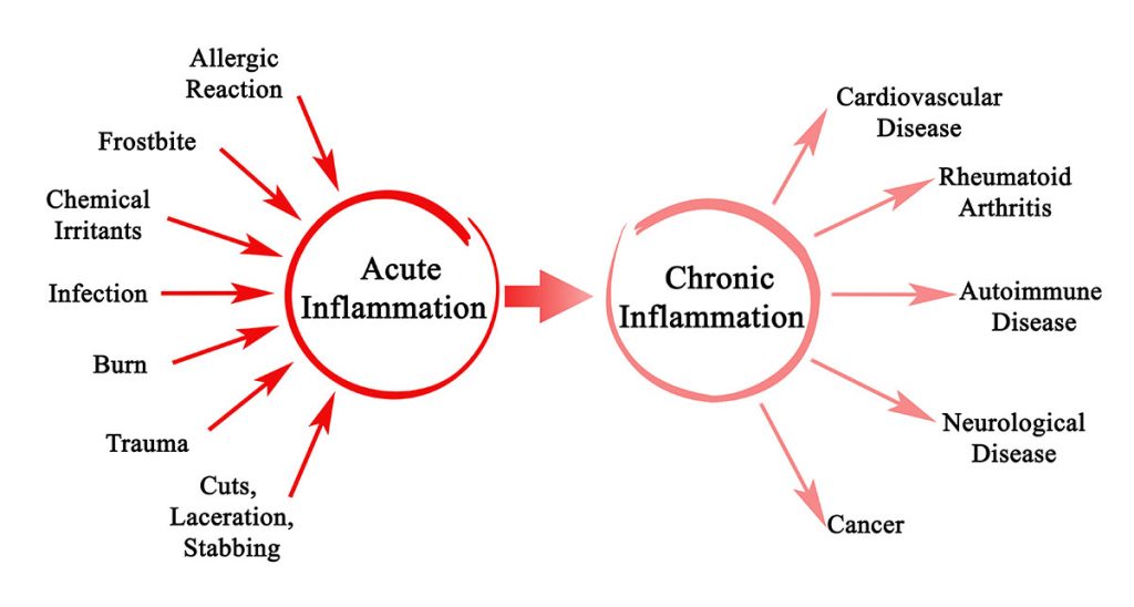 inflammaging-and-what-it-means-for-you-dr-jim-collins